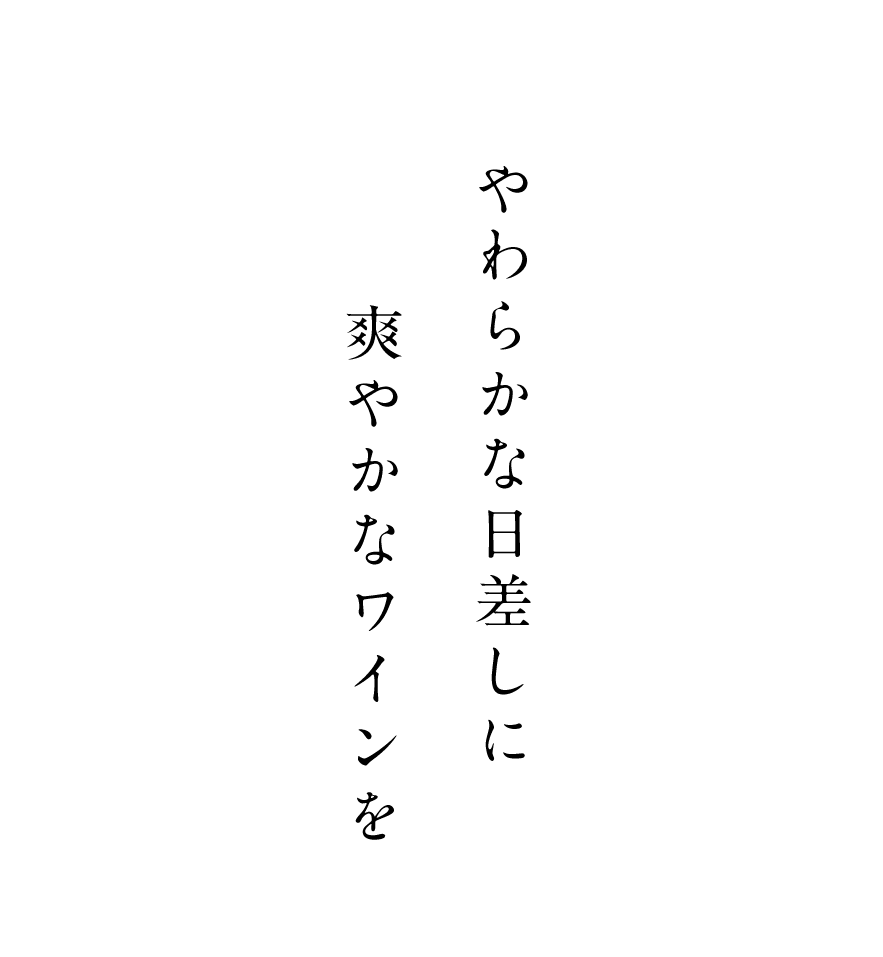 やわらかな日差しに